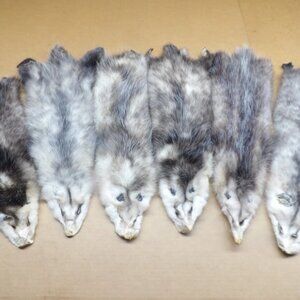 1 Pcs Professionally Tanned Opossum Hide Perfect for Crafts & Taxidermy Real Fur
